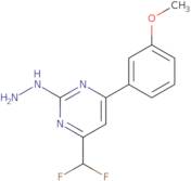 4-(Difluoromethyl)-2-hydrazino-6-(3-methoxyphenyl)pyrimidine