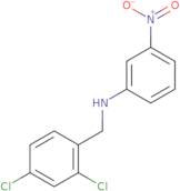 N-(2,4-Dichlorobenzyl)-N-(3-nitrophenyl)amine