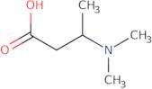 3-(Dimethylamino)butanoic acid hydrochloride