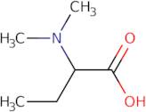 2-(Dimethylamino)butanoic acid