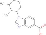 1-(2,3-Dimethylcyclohexyl)-1H-benzimidazole-5-carboxylic acid