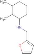 N-(2,3-Dimethylcyclohexyl)-N-(2-furylmethyl)amine