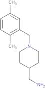 [1-(2,5-Dimethylbenzyl)piperidin-4-yl]methylamine