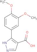 3-(3,4-Dimethoxyphenyl)-1H-pyrazole-4-carboxylic acid