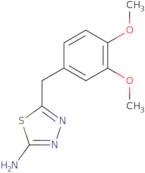 5-(3,4-Dimethoxybenzyl)-1,3,4-thiadiazol-2-amine