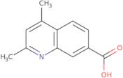 2,4-Dimethylquinoline-7-carboxylic acid