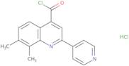 7,8-Dimethyl-2-pyridin-4-ylquinoline-4-carbonyl chloride hydrochloride