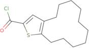 4,5,6,7,8,9,10,11,12,13-Decahydrocyclododeca[b]thiophene-2-carbonyl chloride