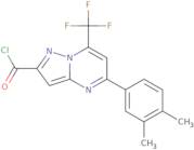 5-(3,4-Dimethylphenyl)-7-(trifluoromethyl)pyrazolo[1,5-a]pyrimidine-2-carbonyl chloride