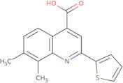 7,8-Dimethyl-2-(2-thienyl)quinoline-4-carboxylic acid