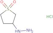 (1,1-Dioxidotetrahydro-3-thienyl)hydrazine hydrochloride