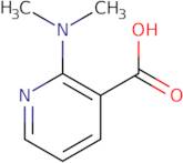 2-(Dimethylamino)nicotinic acid