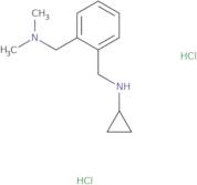N-{2-[(Dimethylamino)methyl]benzyl}cyclopropanamine dihydrochloride