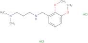 N'-(2,3-Dimethoxybenzyl)-N,N-dimethylpropane-1,3-diamine dihydrochloride