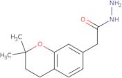 2-(2,2-Dimethyl-3,4-dihydro-2H-chromen-7-yl)acetohydrazide