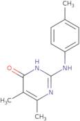 5,6-Dimethyl-2-[(4-methylphenyl)amino]pyrimidin-4(3H)-one