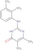 2-[(2,3-Dimethylphenyl)amino]-5,6-dimethylpyrimidin-4(3H)-one