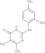 2-[(2,4-Dimethylphenyl)amino]-5,6-dimethylpyrimidin-4(3H)-one