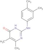 2-[(3,4-Dimethylphenyl)amino]-5,6-dimethylpyrimidin-4(3H)-one