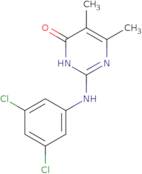2-[(3,5-Dichlorophenyl)amino]-5,6-dimethylpyrimidin-4(3H)-one