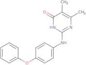 5,6-Dimethyl-2-[(4-phenoxyphenyl)amino]pyrimidin-4(3H)-one