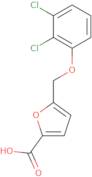 5-[(2,3-Dichlorophenoxy)methyl]-2-furoic acid