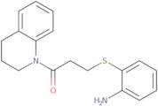 (2-{[3-(3,4-Dihydroquinolin-1(2H)-yl)-3-oxopropyl]thio}phenyl)amine