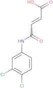 (2E)-4-[(3,4-Dichlorophenyl)amino]-4-oxobut-2-enoic acid