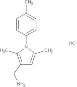 {[2,5-Dimethyl-1-(4-methylphenyl)-1H-pyrrol-3-yl]methyl}amine hydrochloride