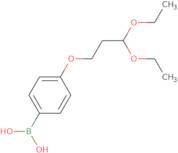 [4-(3,3-Diethoxypropoxy)phenyl]boronic acid