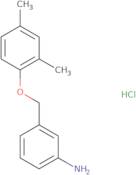 {3-[(2,4-Dimethylphenoxy)methyl]phenyl}amine hydrochloride