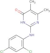 2-[(2,4-Dichlorophenyl)amino]-5,6-dimethylpyrimidin-4(3H)-one