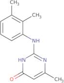 2-[(2,3-Dimethylphenyl)amino]-6-methylpyrimidin-4(3H)-one