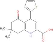 7,7-Dimethyl-5-oxo-4-(2-thienyl)-1,4,5,6,7,8-hexahydroquinoline-2-carboxylic acid