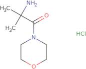 (1,1-Dimethyl-2-morpholin-4-yl-2-oxoethyl)amine HCl