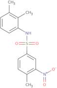 N-(2,3-Dimethylphenyl)-4-methyl-3-nitrobenzenesulfonamide