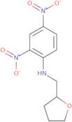 (2,4-Dinitrophenyl)(tetrahydrofuran-2-ylmethyl)amine