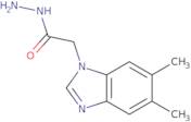 2-(5,6-Dimethyl-1H-benzimidazol-1-yl)acetohydrazide