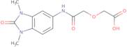 {2-[(1,3-Dimethyl-2-oxo-2,3-dihydro-1H-benzimidazol-5-yl)amino]-2-oxoethoxy}acetic acid