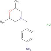 {4-[(2,6-Dimethylmorpholin-4-yl)methyl]phenyl}amine hydrochloride