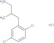 [3-(2,5-Dichlorophenyl)-2-methylpropyl]amine hydrochloride