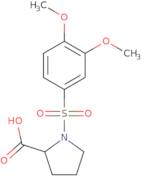 1-[(3,4-Dimethoxyphenyl)sulfonyl]proline