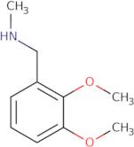 (2,3-Dimethoxybenzyl)methylamine hydrochloride