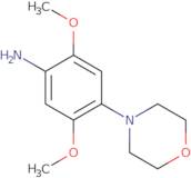 (2,5-Dimethoxy-4-morpholin-4-ylphenyl)amine