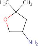 (5,5-Dimethyltetrahydrofuran-3-yl)amine