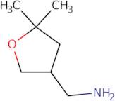 [(5,5-Dimethyltetrahydrofuran-3-yl)methyl]amine