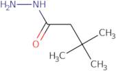 3,3-Dimethylbutanohydrazide