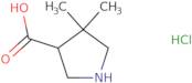 4,4-Dimethylpyrrolidine-3-carboxylic acid hydrochloride