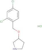 3-((2,4-Dichlorobenzyl)oxy)pyrrolidine hydrochloride