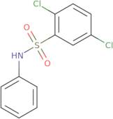 [(2,5-Dichlorophenyl)sulphonyl]phenylamine